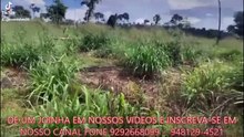 FAZENDA COM 226 ALQUEIRÃO A VENDA CMC