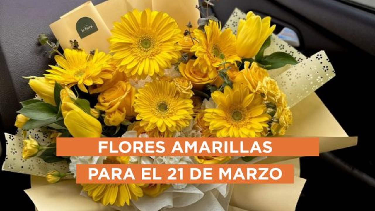 Estas son las flores amarillas más hermosas para el 21 de marzo