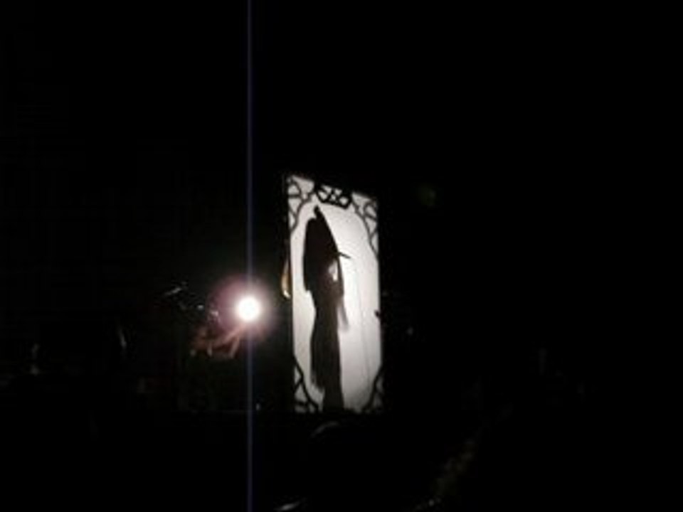 Feist au Grand Rex - Intro