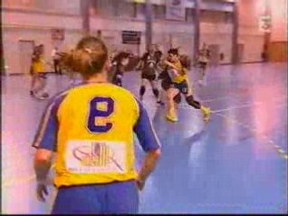 24/05/2008 Journée handball à Saint Amand Les Eaux