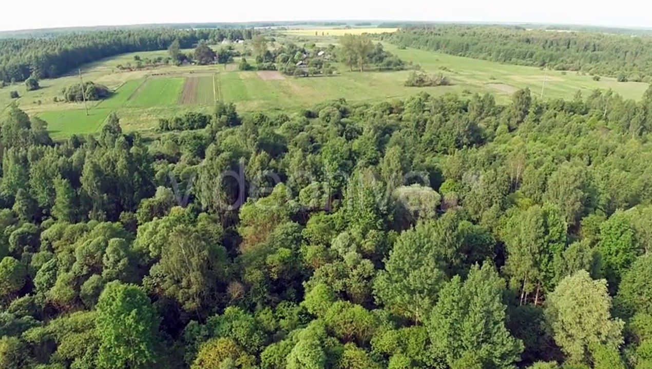 Aerial View of Farmland and Lush Forest