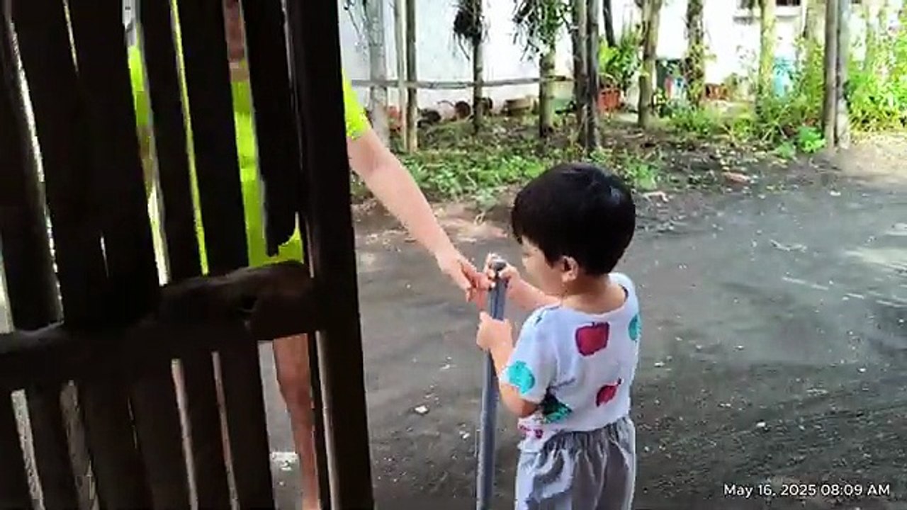Grey Helping His Mom Clean Outside! 🧹🏠