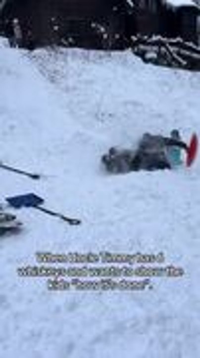 Man Flips Backwards While Sledding