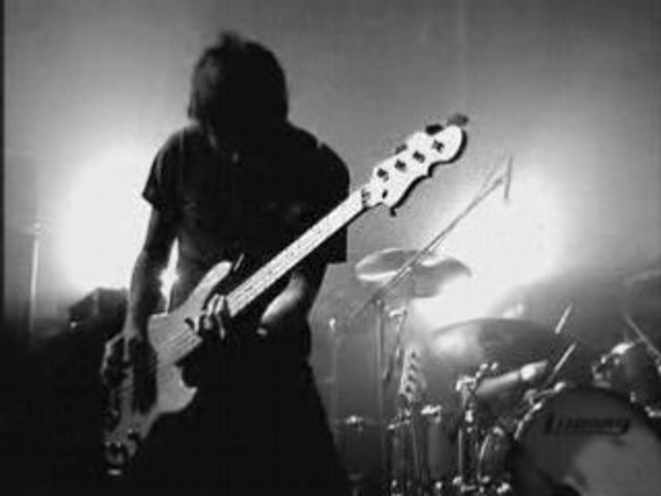 Envy - Sample Transfovista