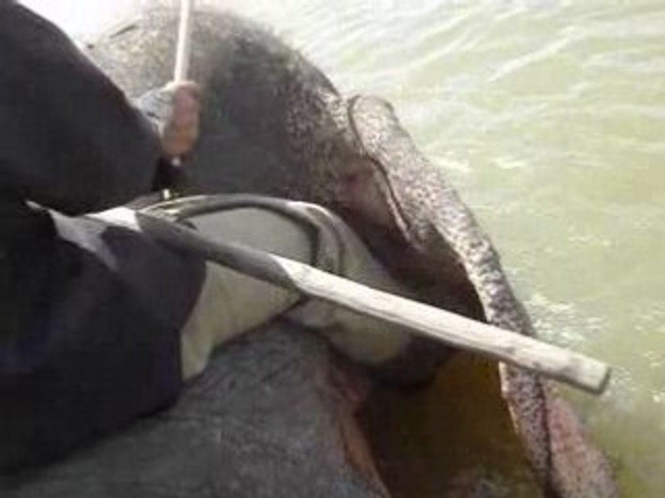 Traversée du Lac Lak à dos d'éléphant