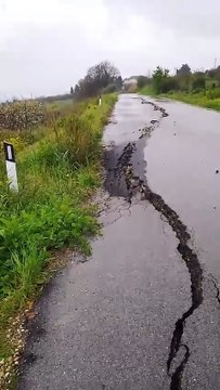 Image from field_mediaid