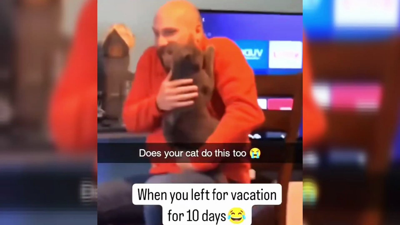 Nobody Expected This Cat to Do THAT!  (HOT 2026)