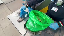 Carne, frutta e formaggi, sequestro di prodotti non sicuro all'aeroporto di Palermo