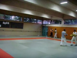 yoseikan budo lyon