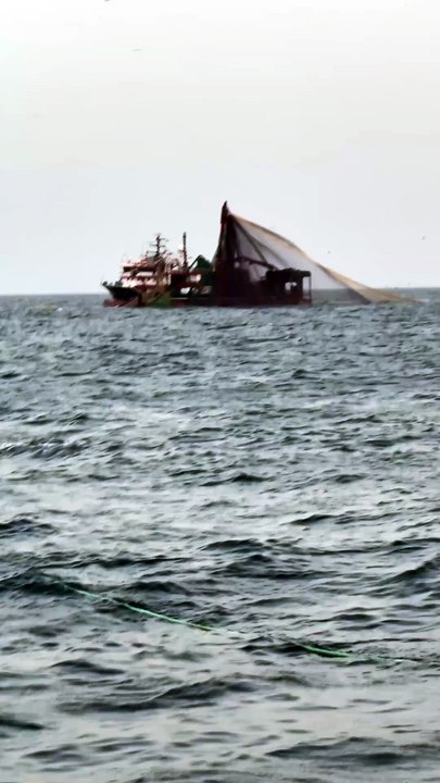 🌻Nature , Ocean and Fishing fishinglife #ocean