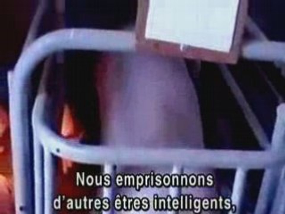 La Terre Dévorée 2ere partie