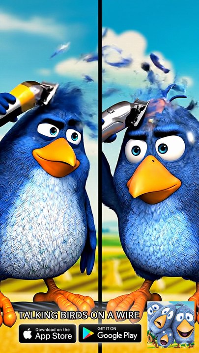 New hairstyle unlocked! 💇‍♂️  Talking Birds On A Wire Game