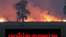 ยังฝ่าผืน ! เกษตรเผาที่นาไม่สนกฎหมาย จุดไฟลามกว่า 20 กม.