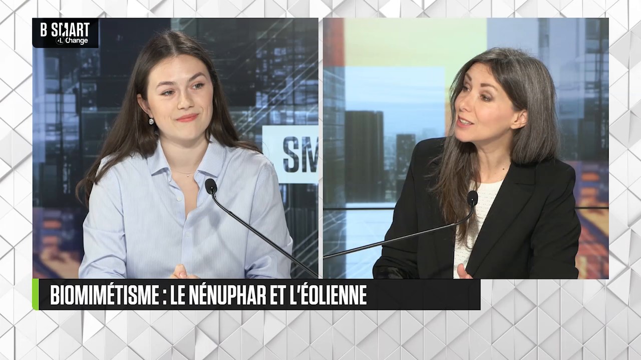 SMART TECH - Biomimétisme : le nénuphar et l'éolienne