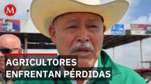 Agricultores denuncian que sus ingresos no cubren costos de producción