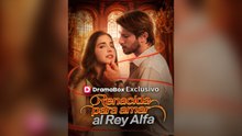 Renacida Para Amar Al Rey Alfa (Español)- Full Hot