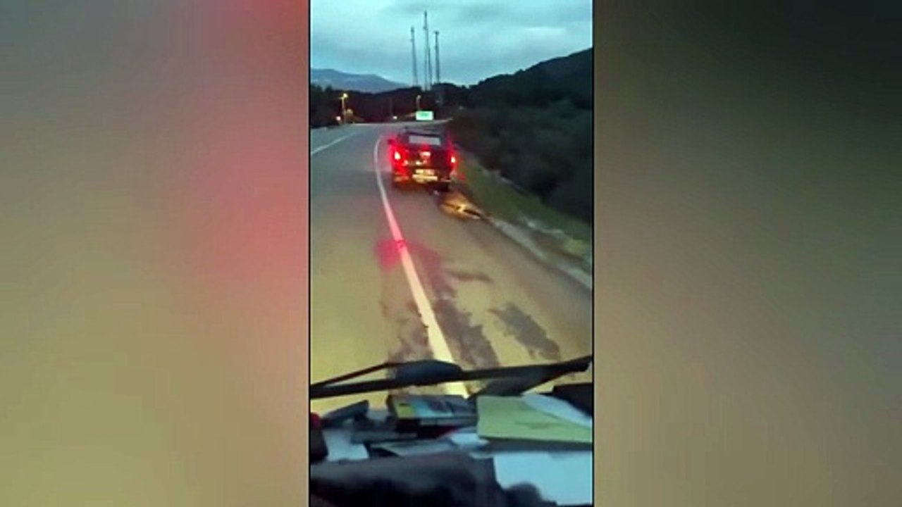 Muğla'da eşeği aracın arkasına bağlayıp sürükleyenlere idari para cezası