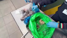 Sequestrati oltre 470 chili di alimenti nascosti nei bagagli all'aeroporto di Palermo