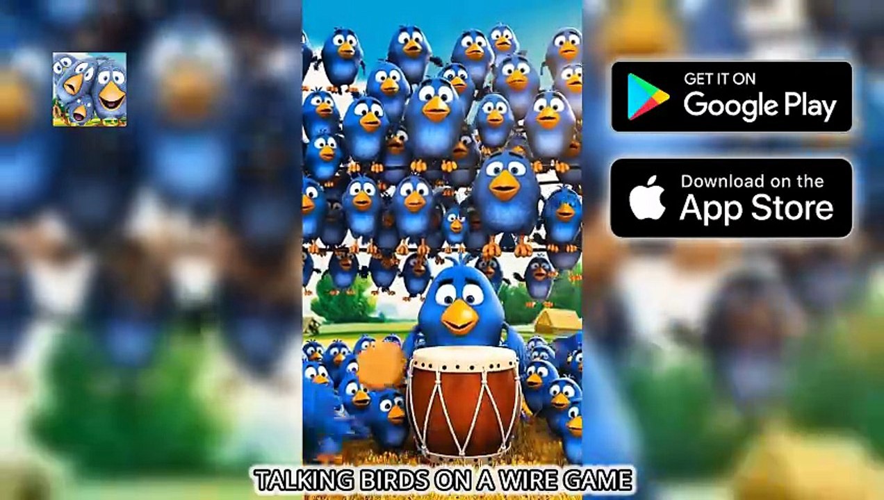 Try Not To Laugh: Talking Birds On A Wire Edition 🐦😂