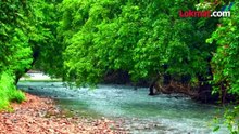 ठाणे ते बोरिवली दुहेरी भुयारी प्रकल्प कसा असणार?