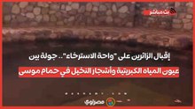 إقبال الزائرين على "واحة الاسترخاء".. جولة بين عيون المياه الكبريتية وأشجار النخيل في حمام موسى