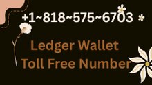 [[N⇢EWLY List}} of Official (Ledger Wallet)® Customer™ Service Number 24*7 Care 2026