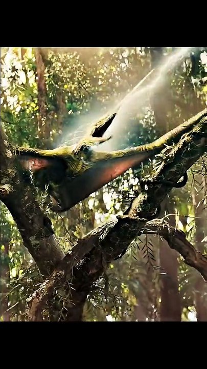 big bat attack