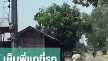มอเตอร์ไซค์สายเลื้อย ขับตามก็สุดลุ้นก่อนระทึกเมื่อมีเป๋เข้าข้างทาง