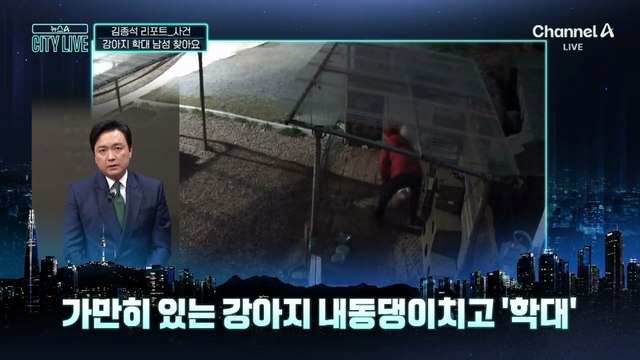 [김종석의 리포트]“빨간 점퍼 이 남자 찾아요”…강아지 던지고 학대