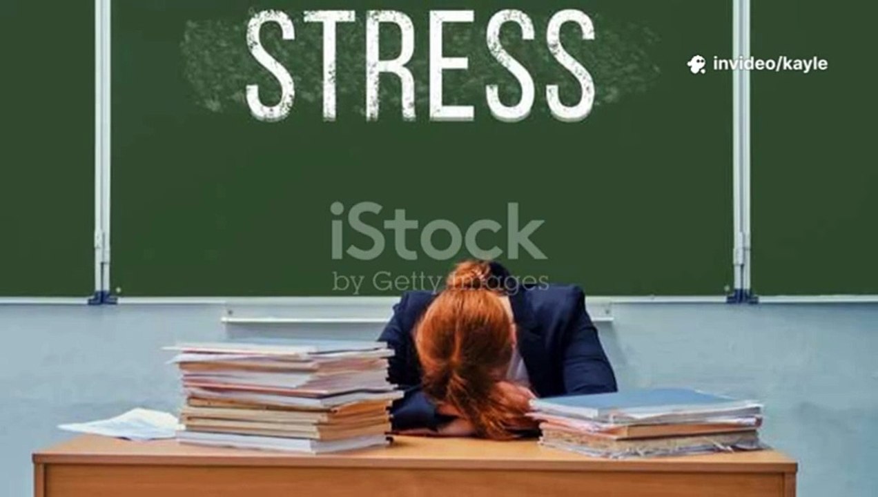 Essay Writing Help | Expert Tips & Easy Guide for Students