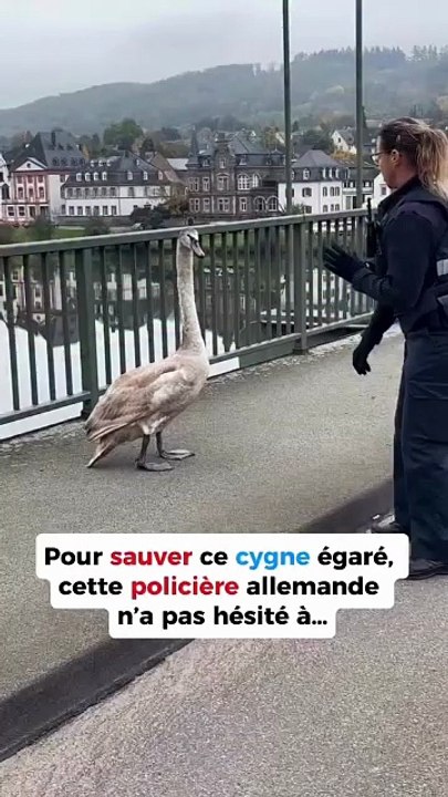 Le sauvetage du jour 💚