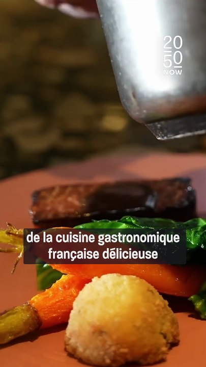 Il ne cuisine plus d’animaux !