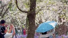 Join Me For A No-Umbrella Flower Rain