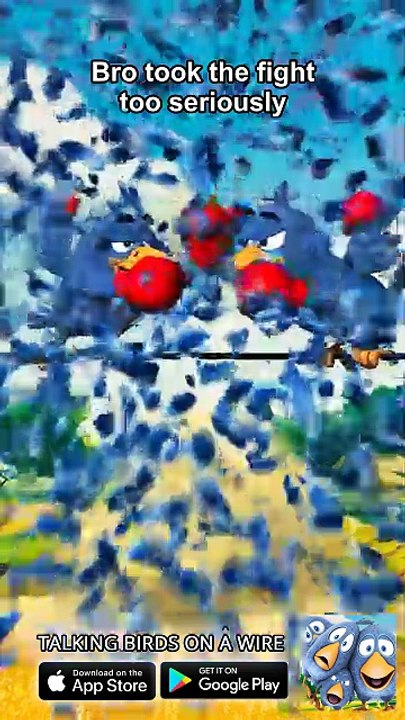 When you both spam the punch button 🎮🥊 Talking Birds On A Wire Game