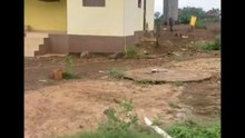 FAZENDA COM 238 ALQUEIRÃO A VENDA CMC