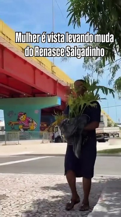 Dias após inauguração, mulher é vista levando muda de planta do Renasce Salgadinho