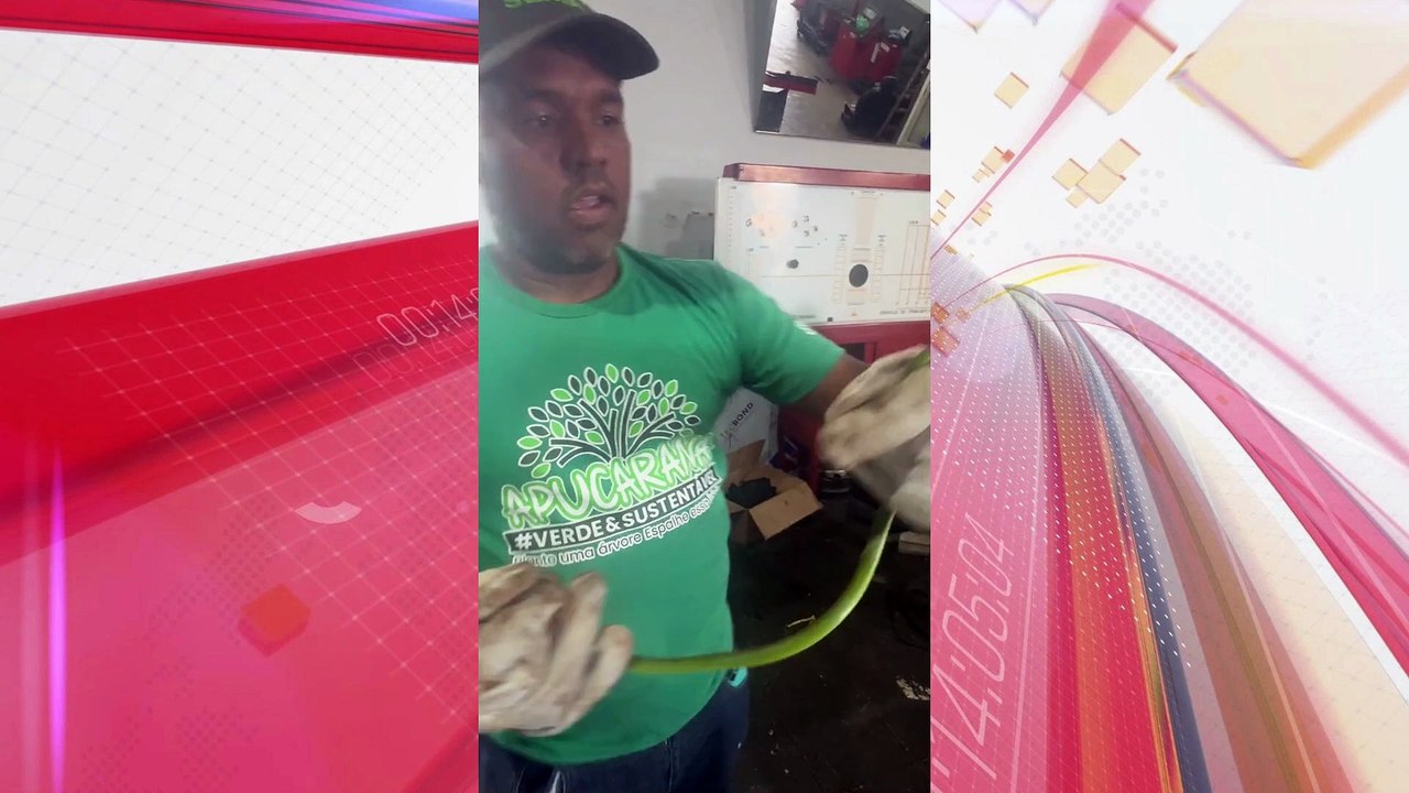 Cobra é encontrada dentro de motor de carro em oficina de Apucarana