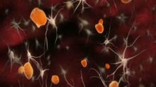 3D Animation | Super Cell Documentary | Mediafreaks