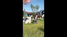 Cute buffalo hair woman goes viral