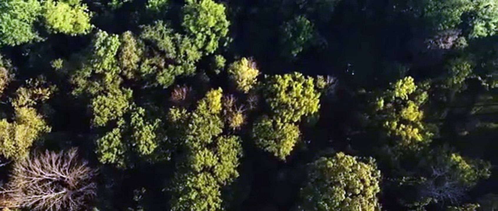 STALKED    Intense Horror SHM