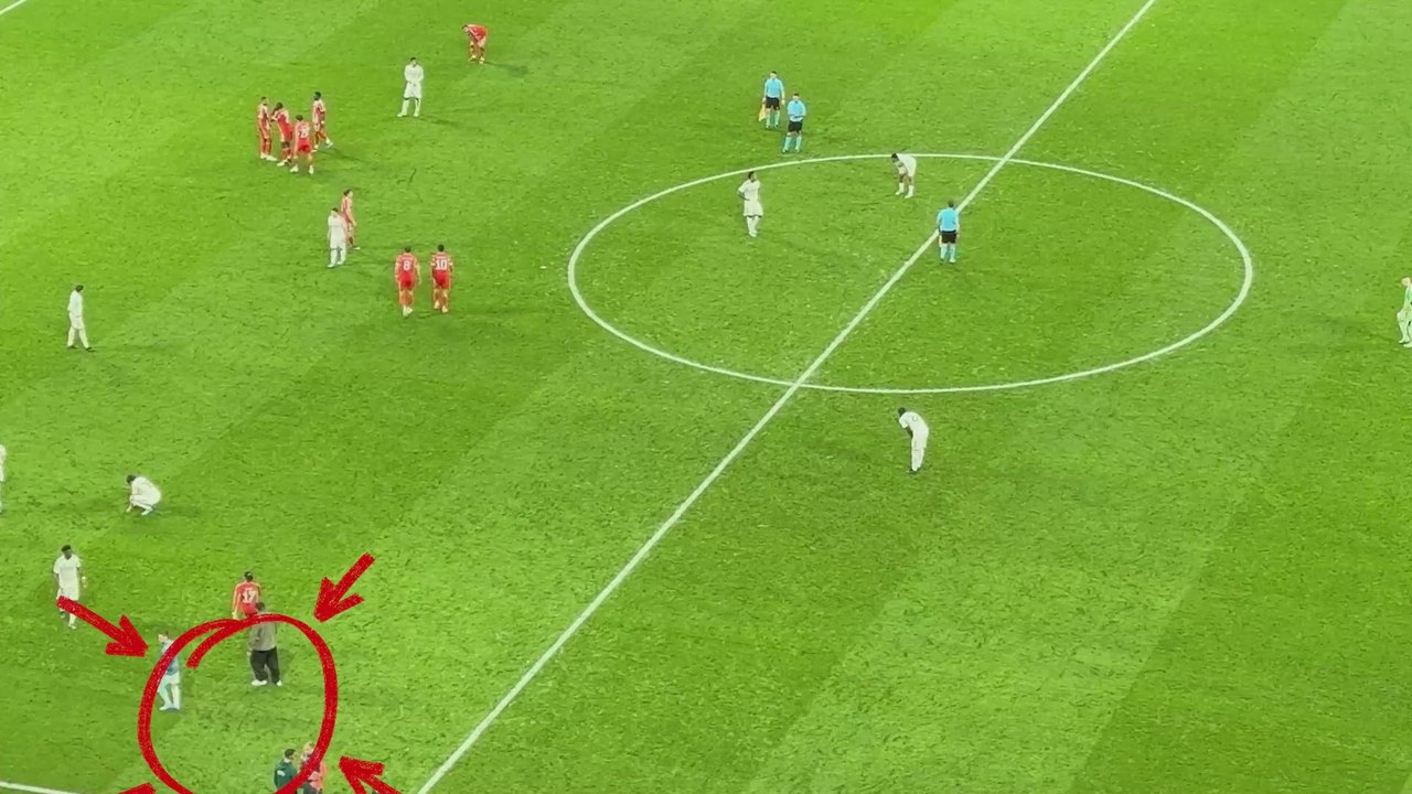 EJEMPLAR MASTANTUONO