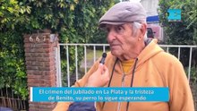 El crimen del jubilado en La Plata y la tristeza de Benito, su perro lo sigue esperando