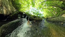 summer falls bath