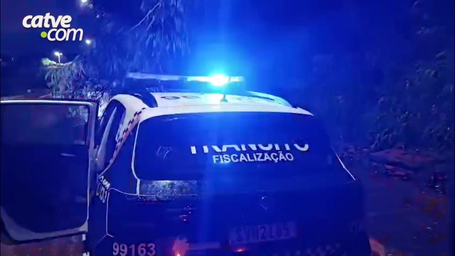 Árvore derruba poste e deixa rua interditada em Toledo; motociclista bate em galhos em outro ponto