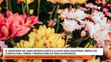 MINISTERIO DEL AGRO APUESTA A LA EXPO AGRO INDUSTRIAL OBERÁ CON FLORICULTURA, YERBAS Y PRODUCTORES
