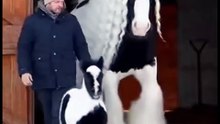كأنها لبسه ورايحه حفلة