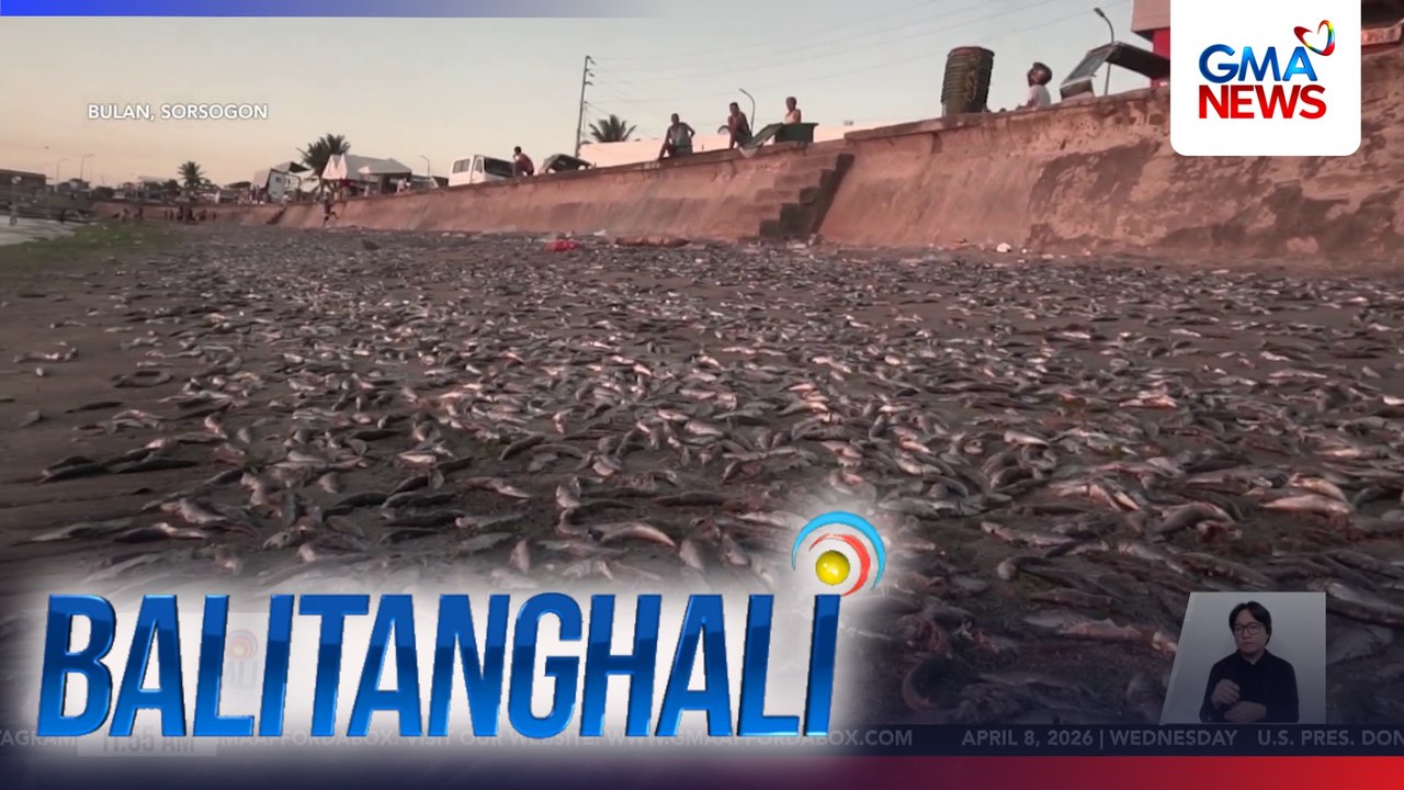 Sandamakmak na tamban, nagkalat sa dalampasigan matapos itapon ng mga mangingisda dahil sa oversupply | Balitanghali