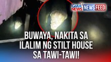 Buwaya, nakita sa ilalim ng stilt house sa Tawi-Tawi! | GMA News Feed
