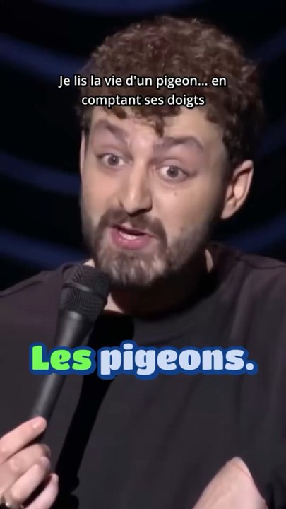 Les pigeons 🤣🤣