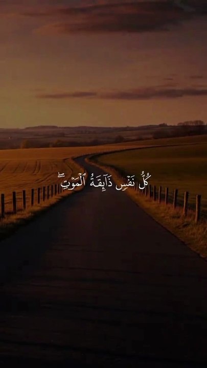 كل نفس ذائقة الموت 🤍🕊 #قران #quran #قران_كريم #Allah #اللهم_صلي_على_نبينا_محمد
